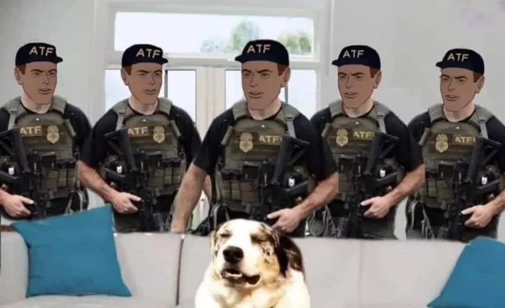 atf couch meme dog