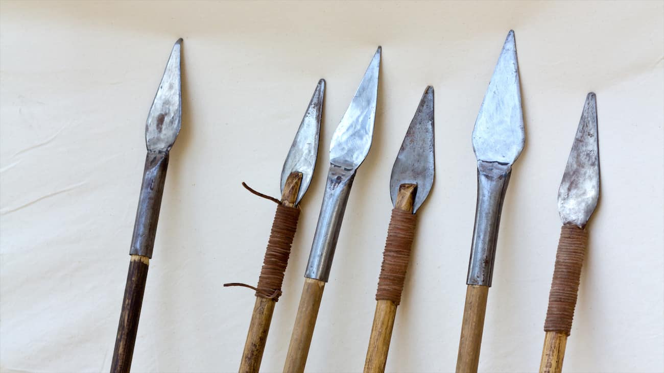 Hunting Spears (5 Best for 2023)