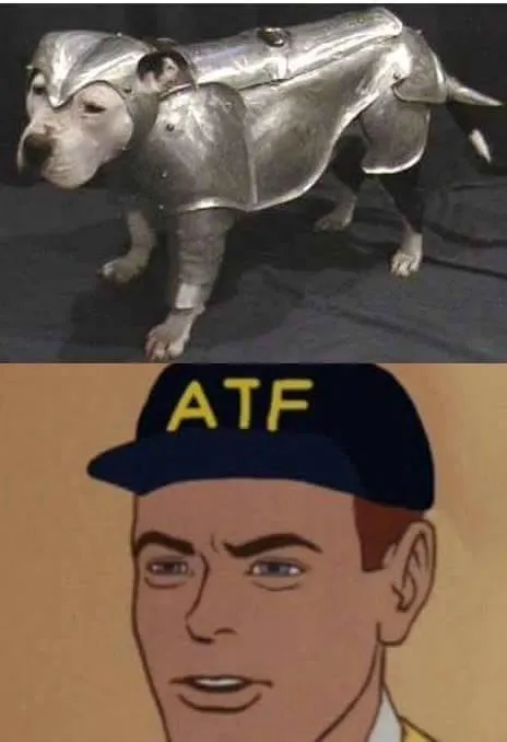 atf dog armor
